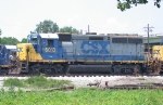 CSX 6013